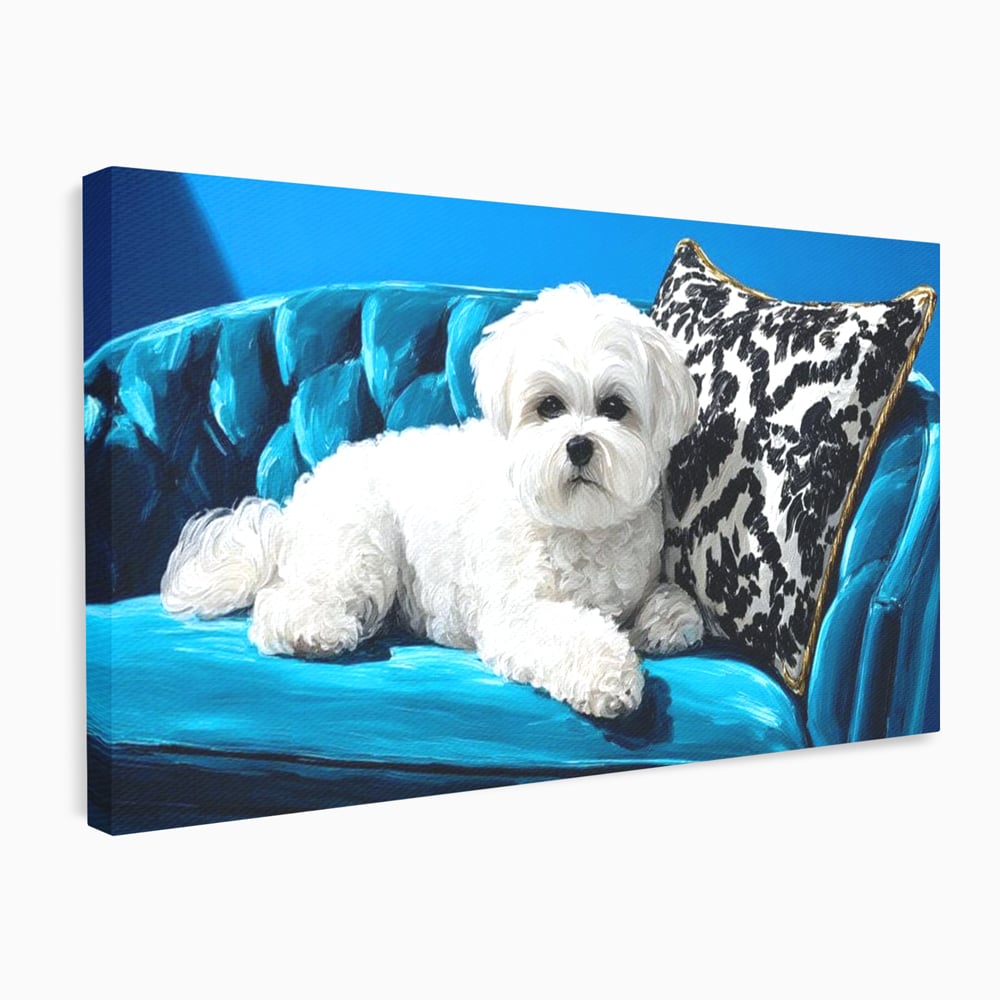 Tablou canvas cu pictura cu bichon alb pe canapea, fara rama, pe sasiu de lemn